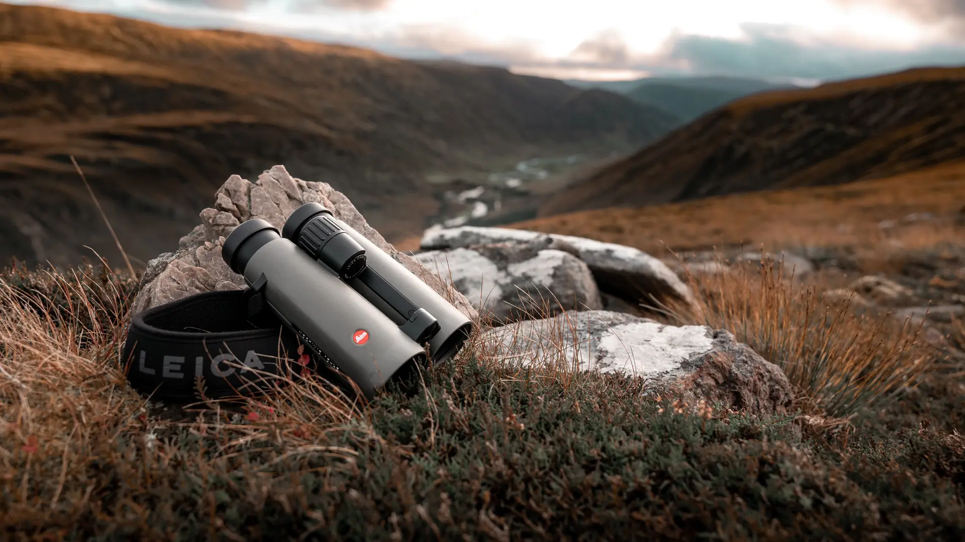 Leica Noctivid 8x42
